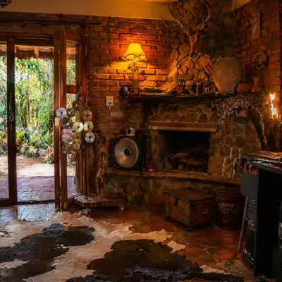 Eclectic rustic interior with a stone fireplace and CD sculpture