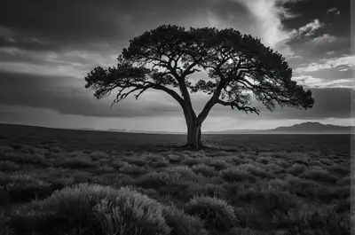 Black and White Portrait Photography Prompt
