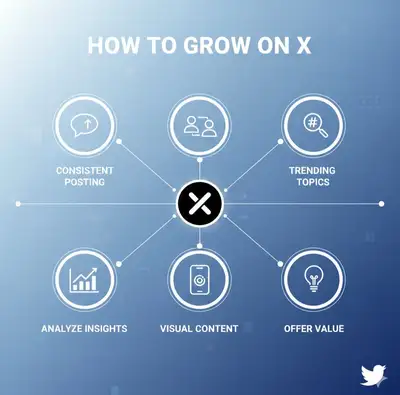 X Growth Strategy Infographic Prompt