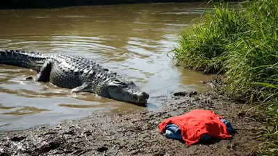 Crocodile Dances in Clothes by River