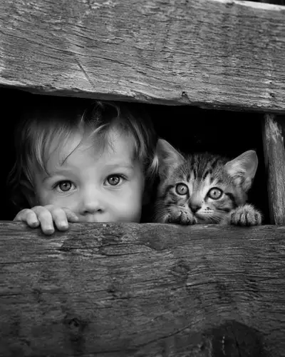 Black and white documentary photo of a toddler and kitten in a wooden crate