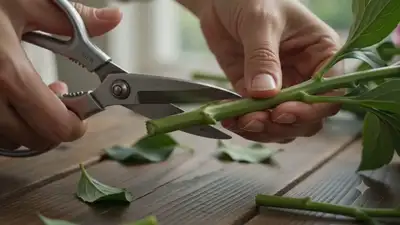 Vidéo de fleuriste arrangeant des roses roses, réalisée avec Seedance 2.0