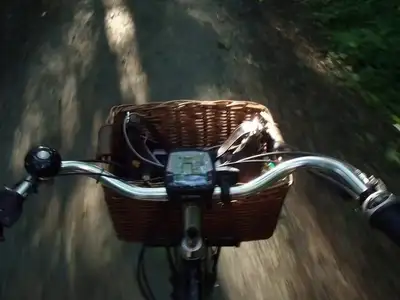 Planche cinématique de balade à vélo en forêt POV