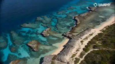 Cinematic Aerial Seaplane Adventure Video