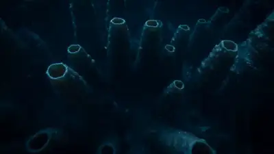Méduse-Polywog Bioluminescente des Grands Fonds - Cinématique