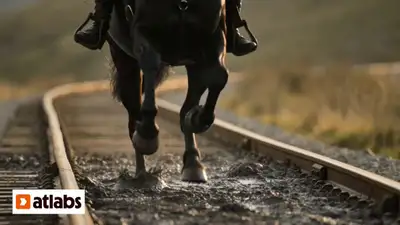Caballo compitiendo contra un tren a toda velocidad en hora dorada