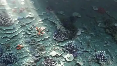 Papercraft Coral Reef World