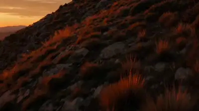 Cinematic Camera Movement: Audience Perspective
