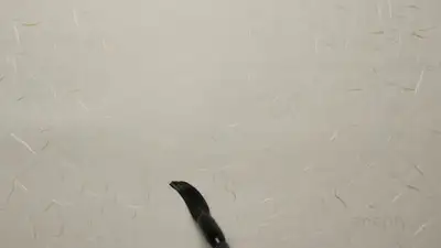 Traditional Japanese Sumi-e Ink Wash Animation