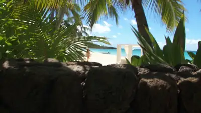 虚假的狗仔队海滩镜头
