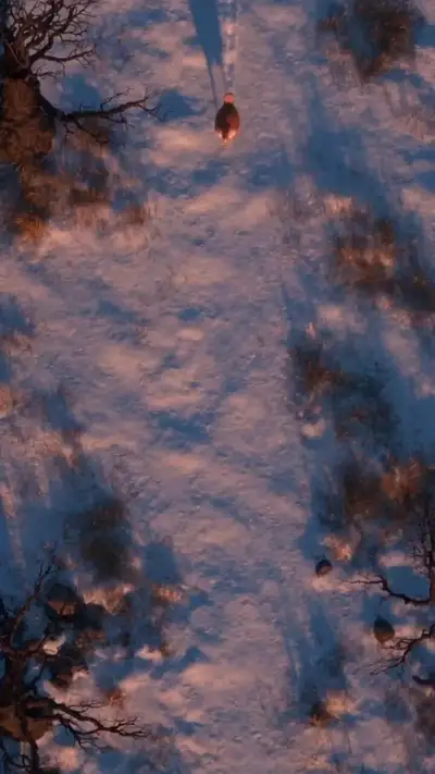 Cinematic Fantasy Prehistoric Landscape Short Film
