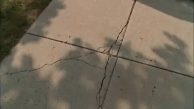 Found MiniDV tape: an ordinary summer morning in 2003 (Seedance 2.0)