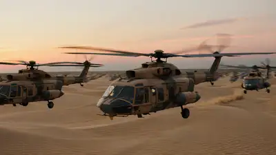 Desert Dawn Helicopter Assault