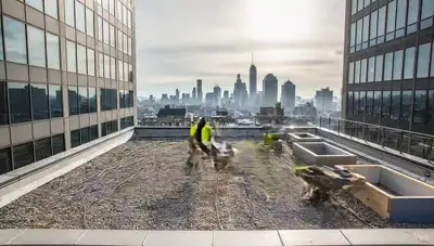 Du toit à l'oasis urbaine - Accéléré temporel