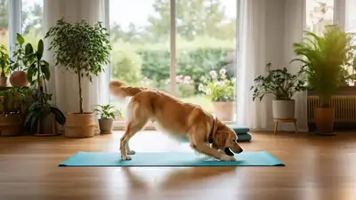 Veo 3 Prompt: Impossible Yoga Pose
