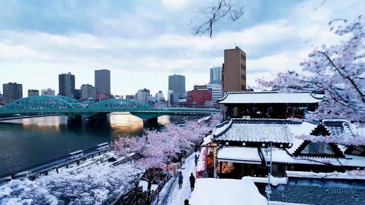 Snowy Tokyo street scene with sakura petals (Sora demo)