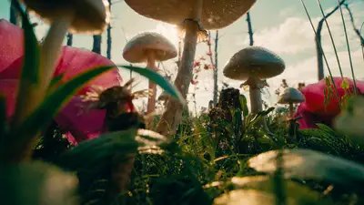 Macro fae warriors battle a giant beetle, single-take FPV video