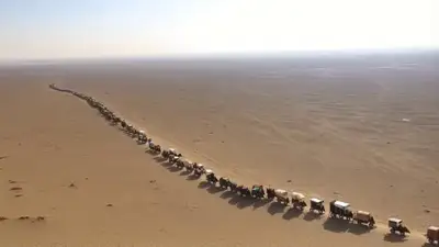 Desert Caravan Panoramic Video Prompt