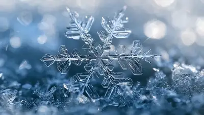 Snowflake to Frozen Kingdom Seamless Transition