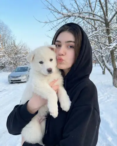 Portrait d'hiver avec chiot dans la neige via Nano Banana Pro