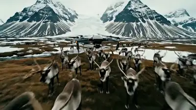 Plan séquence de drone survolant le Sasquatch
