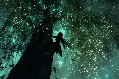 Canopy of Cosmos