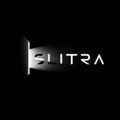 Premium black and white optical logo built from light structure