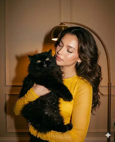 Flash-Style Portrait with Black Persian Cat