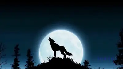 Lonely Wolf Howling Silhouette