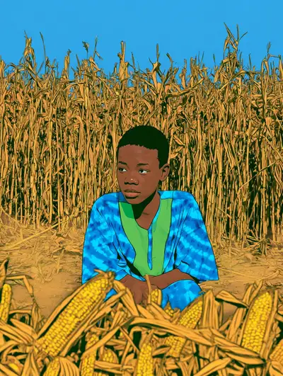 Photorealistic portrait of a boy in dashiki among maize stalks