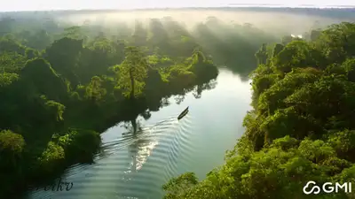 Amazon Drone Footage with Macaws