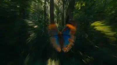 Seedance 2.0 prompt: butterfly chase into parrot bullet-time capture