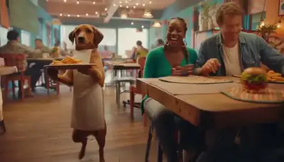 Dog Waiter Serves Food in Restaurant