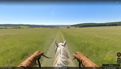 Dashcam Horse Riding POV Prompt