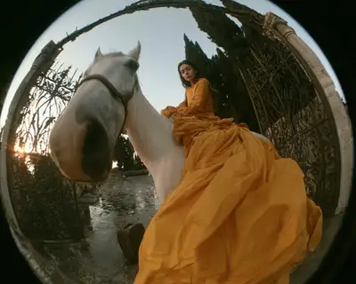 Fisheye doorbell camera visitor on horse