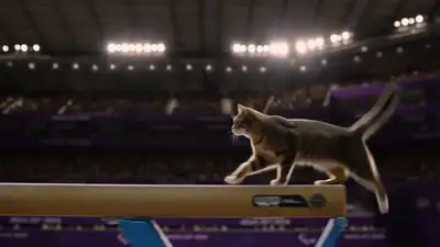 Chat gymnaste sur poutre d'équilibre