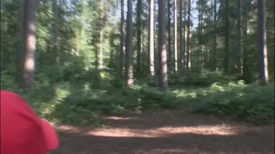 Found-footage DV camcorder video of kids catching a strange creature