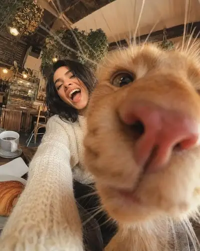 Cat photobombing low selfie in cafe