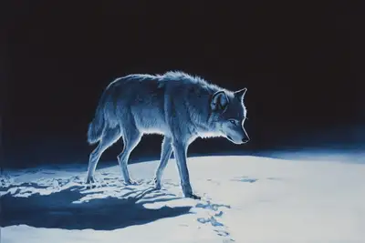 Polar Night Chiaroscuro Art Prompt