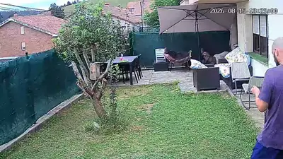 Giant Chicken vs Cat Backyard Video Extension