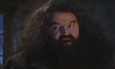 Man Talking to Lizard Wizard