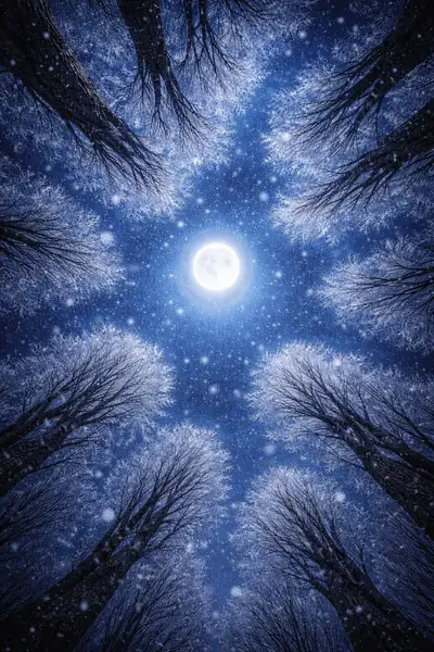 Cinematic Midnight Forest Moon