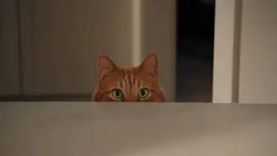 Operation: Forbidden Chicken - Comedic Cat Short