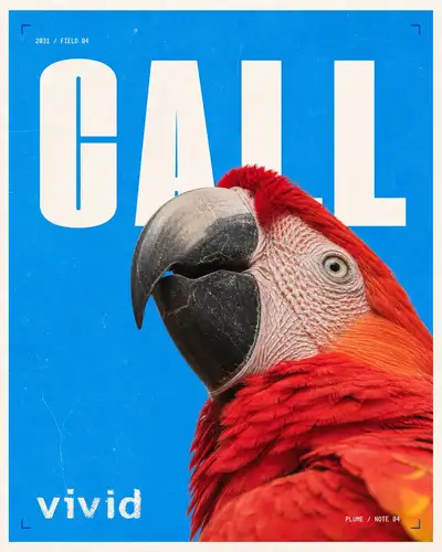 Editorial Poster with Oversized Title and Subject