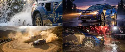 Rally Car Action Contact Sheet Prompt