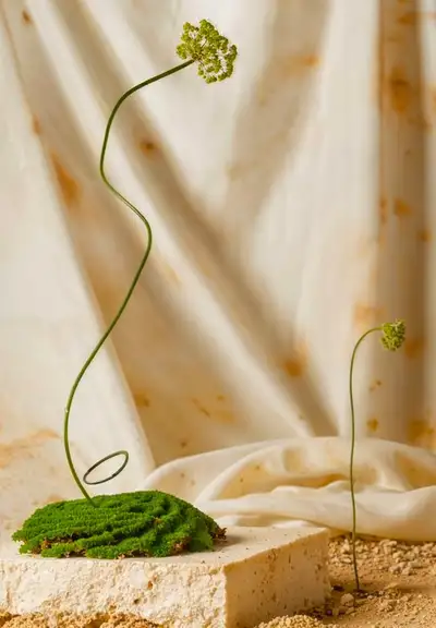 Emerald Fern Set Design