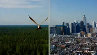 Split Screen Forest to City Bird Flight